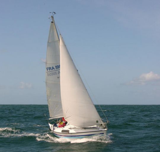 Canevas navire Small Sailboat PETIT VOILIER Ready-to-Play 
