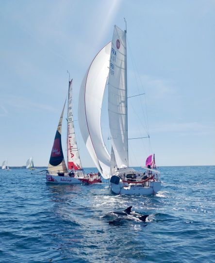 Objective Mini Transat When The Call Of The Open Sea Is Stronger Than Anything Else